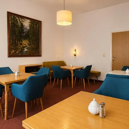 Yfb Pension Weisse Rose I Zentral Gelegen Guest house Bad Elster